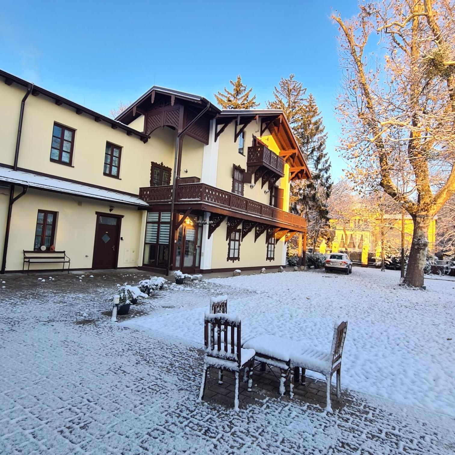 Villa Musik - Historical Apartments In Baden Exteriör bild
